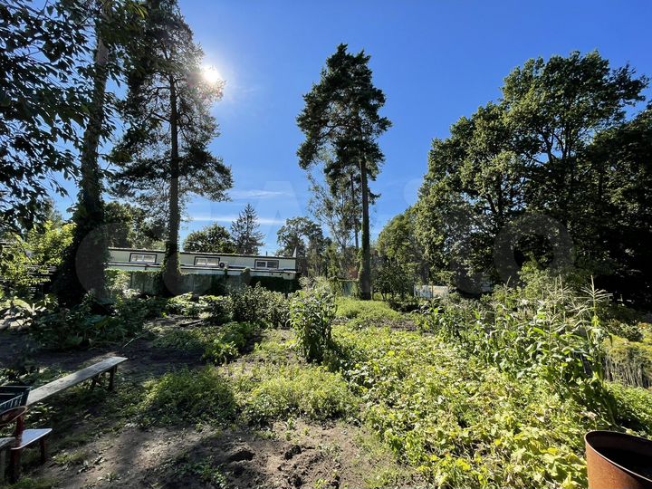 Участок 11 сот. (ИЖС)