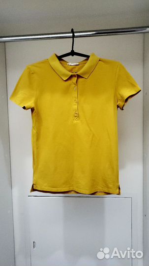 Поло Terranova М