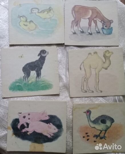 Игра СССР Животные и их детеныши