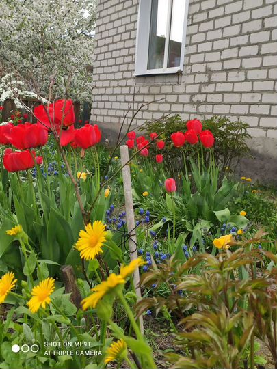 Дом 100 м² на участке 17,3 сот.