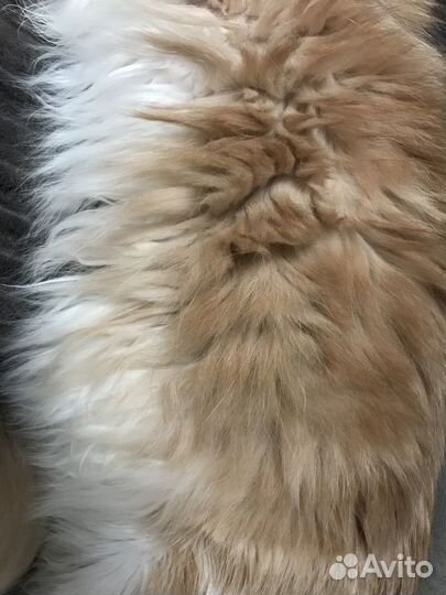 Кошачья шерсть для поделок, валяния