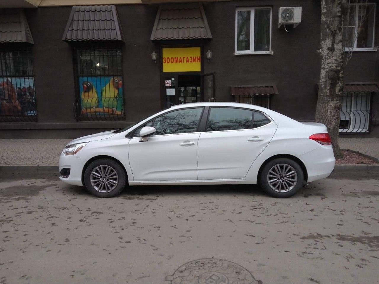 Citroen C4: фото владельца