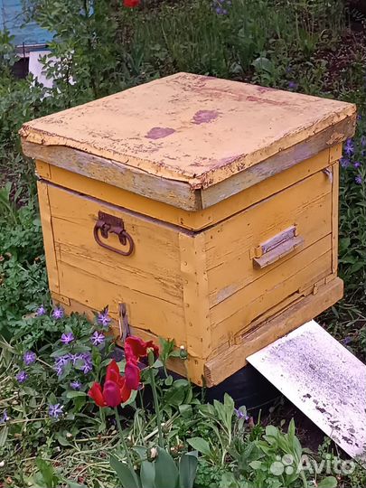 Улья для пчел