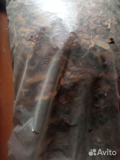 Кора лиственницы