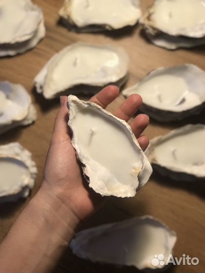Свечи в устрицах/ Раковины устриц