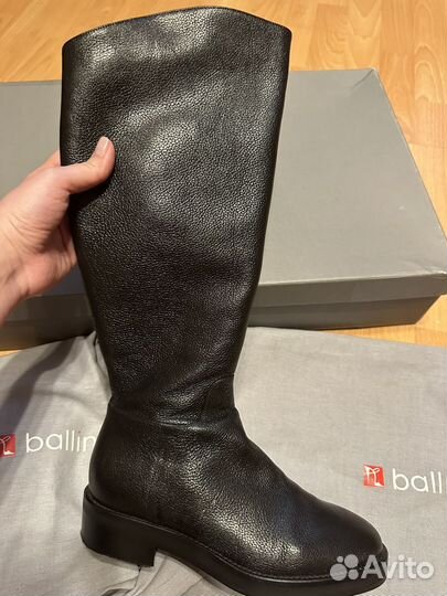 Сапоги Ballin