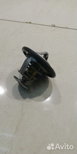 Термостат (Haval Jolion)