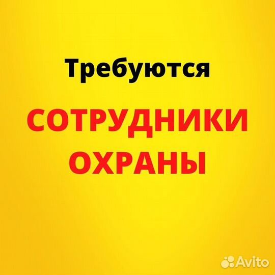 Охранник с питанием