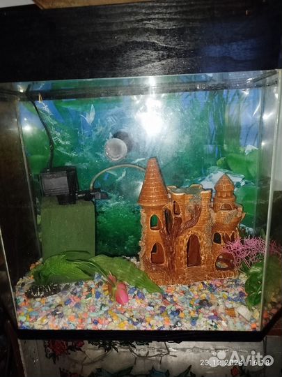 Аквариум