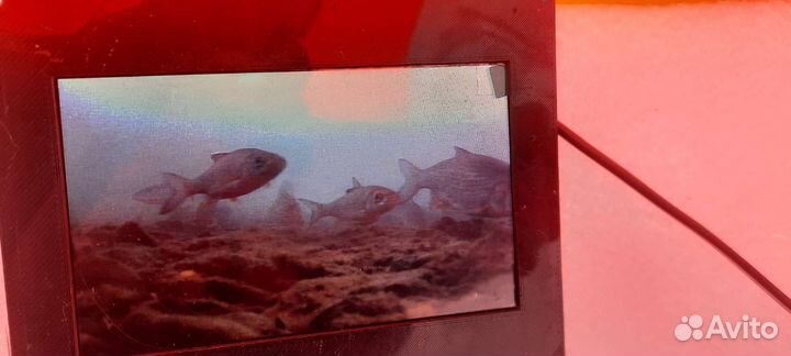 Ремонт рыболовных подводных камер