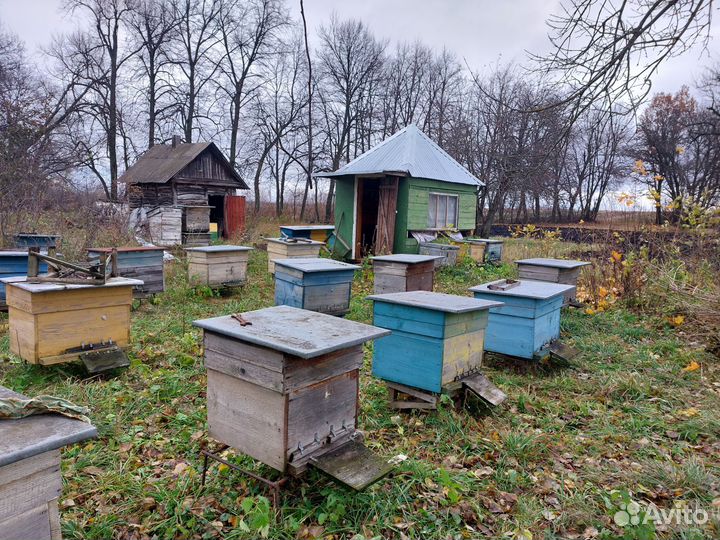 Продам ульи для пчел
