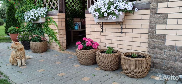 Мк по плетению кашпо