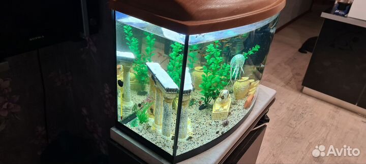 Аквариум с тумбой и оборудованием