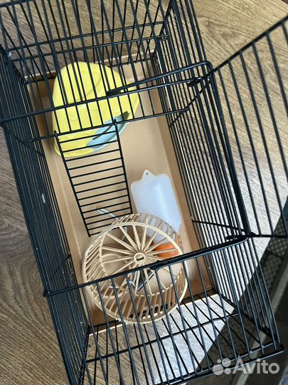 Клетка для хомяка