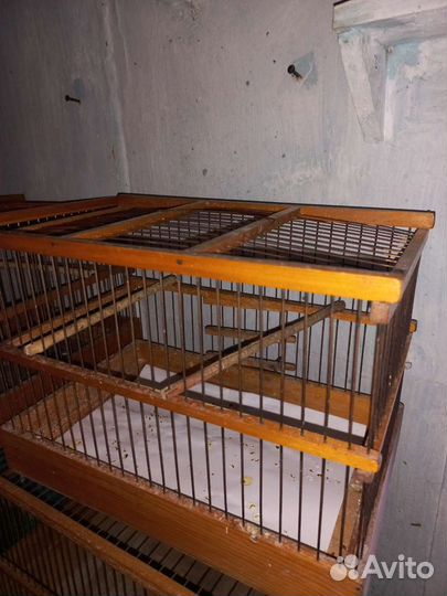 Клетки для птиц