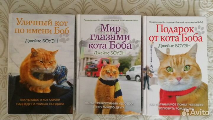 Кот Боб, Джеймс Боуэн