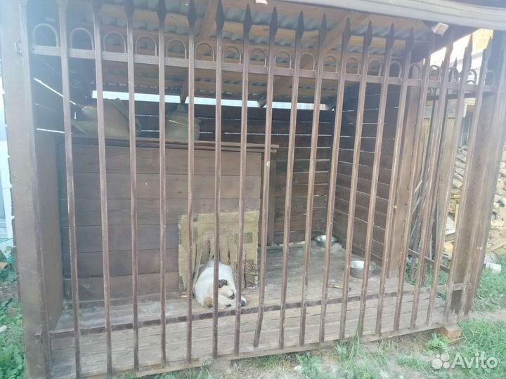 Решетка для вольера