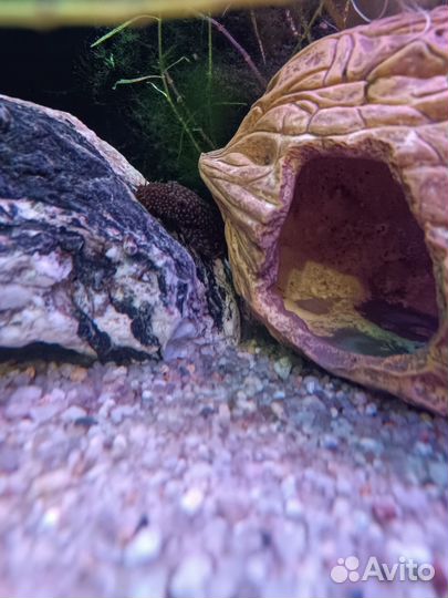 Аквариум с тумбой и внешним фильтром