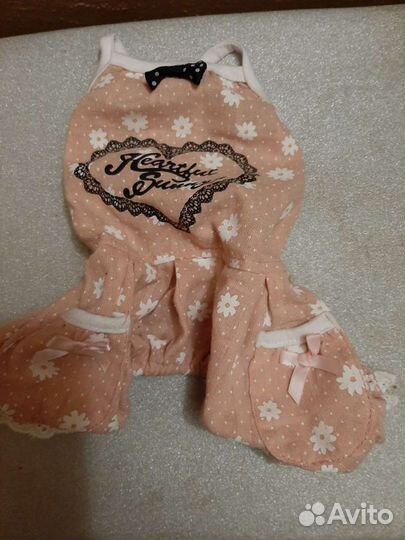 Одежда для маленьких собак -шпиц,бу