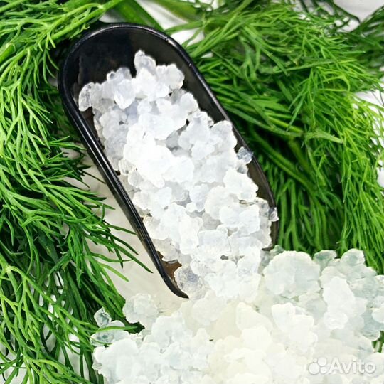 Индийский морской рис(тибетскийгриб/водянойкефир)