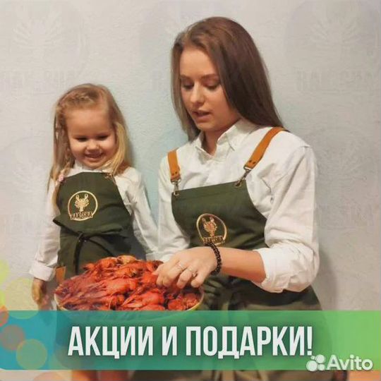 Живой гребешок Морской Баренцево Морепродукты