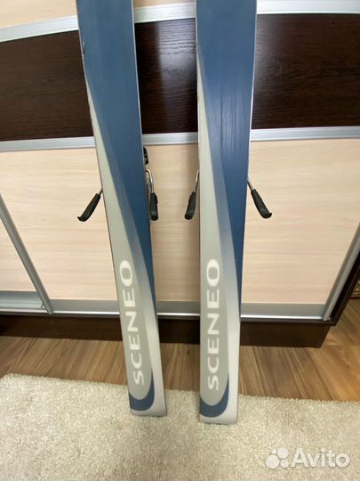 Горные лыжи Fischer