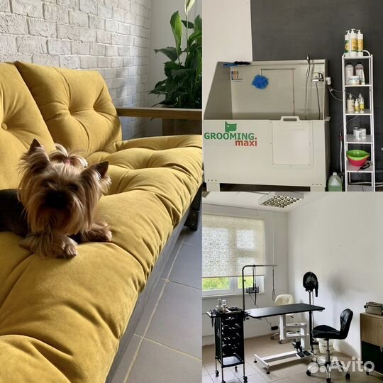 Груминг-студия «лайка»