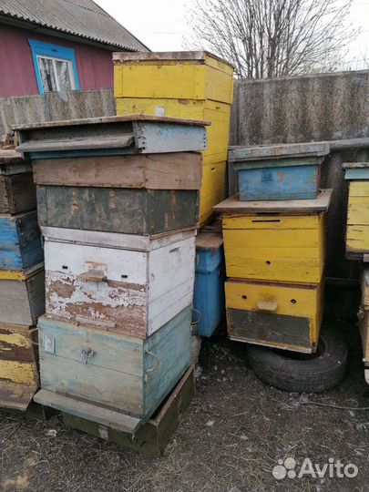 Улей для пчел бу