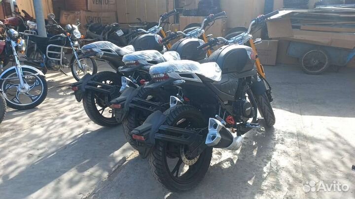 Cobra 250 новые