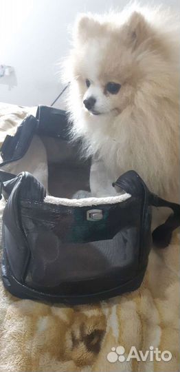 Сумка для переноски животных