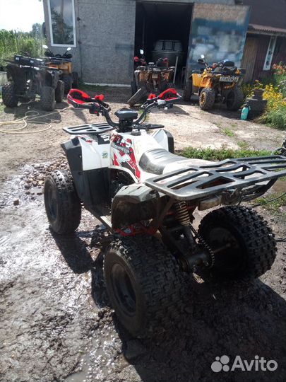 Квадроциклы Wels evo X 200