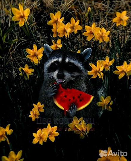 Картина по номерам 40x50 Енот с арбузом в желтых