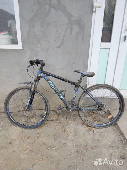 Велосипед Berkut