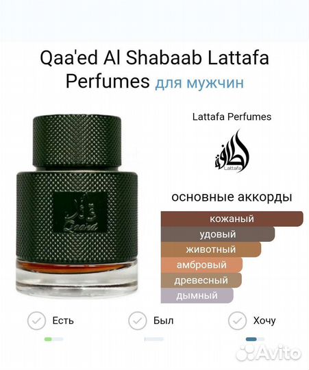 Lattafa Qaaed al Shabaab и Qaaed