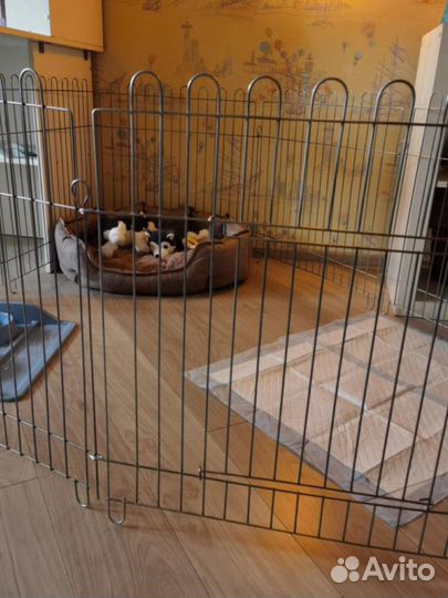 Вольер манеж для собак маленьких и средних пород в