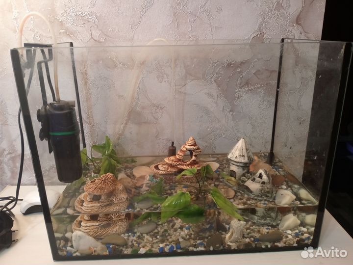 Аквариум