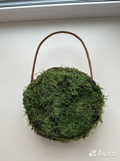 Стабилизированный мох панно