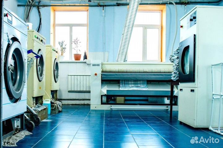 Гладильщица в ночь