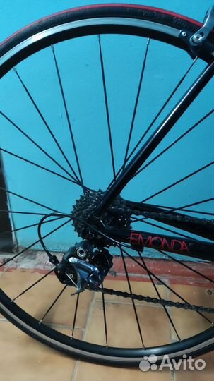 Trek emonda s