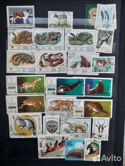 Альбом с марками