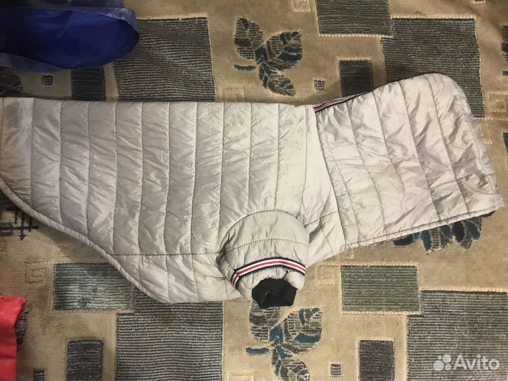 Одежда для маленьких собак