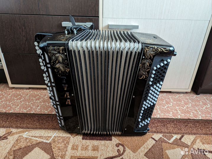 Баян Тула 210