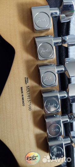 Fender Stratocaster Player