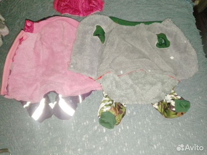 Одежда для собак мелких пород