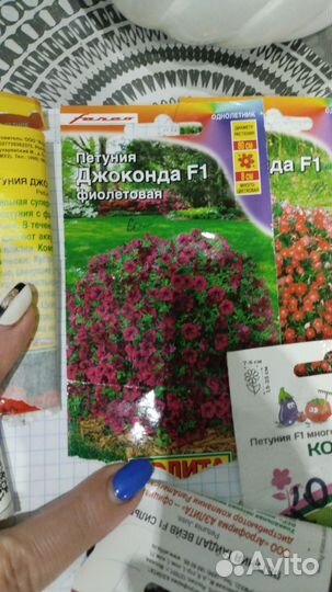 Растения для сада