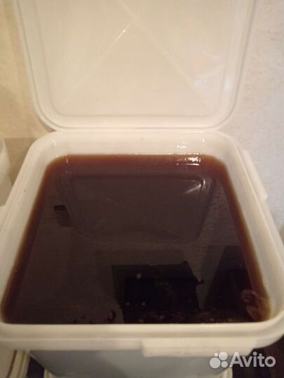 Мед оптом от 1 куботейнера 34 кг