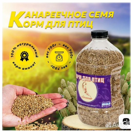 Корм для птиц