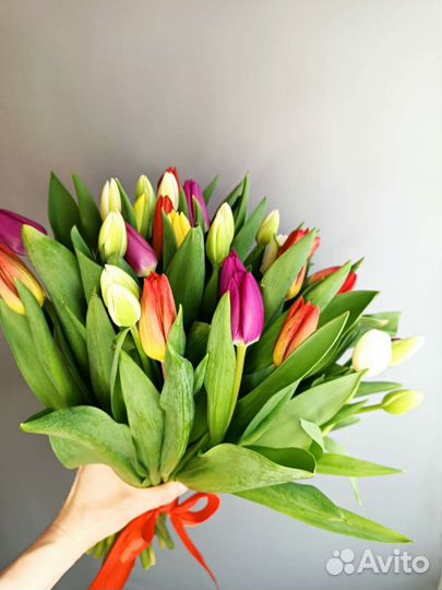 Луковицы тюльпанов цветы Ярославль