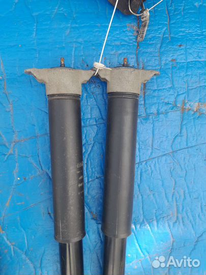 Амортизаторы задние Ford Focus 3