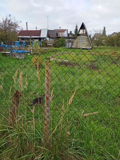 Участок 6 сот. (СНТ, ДНП)